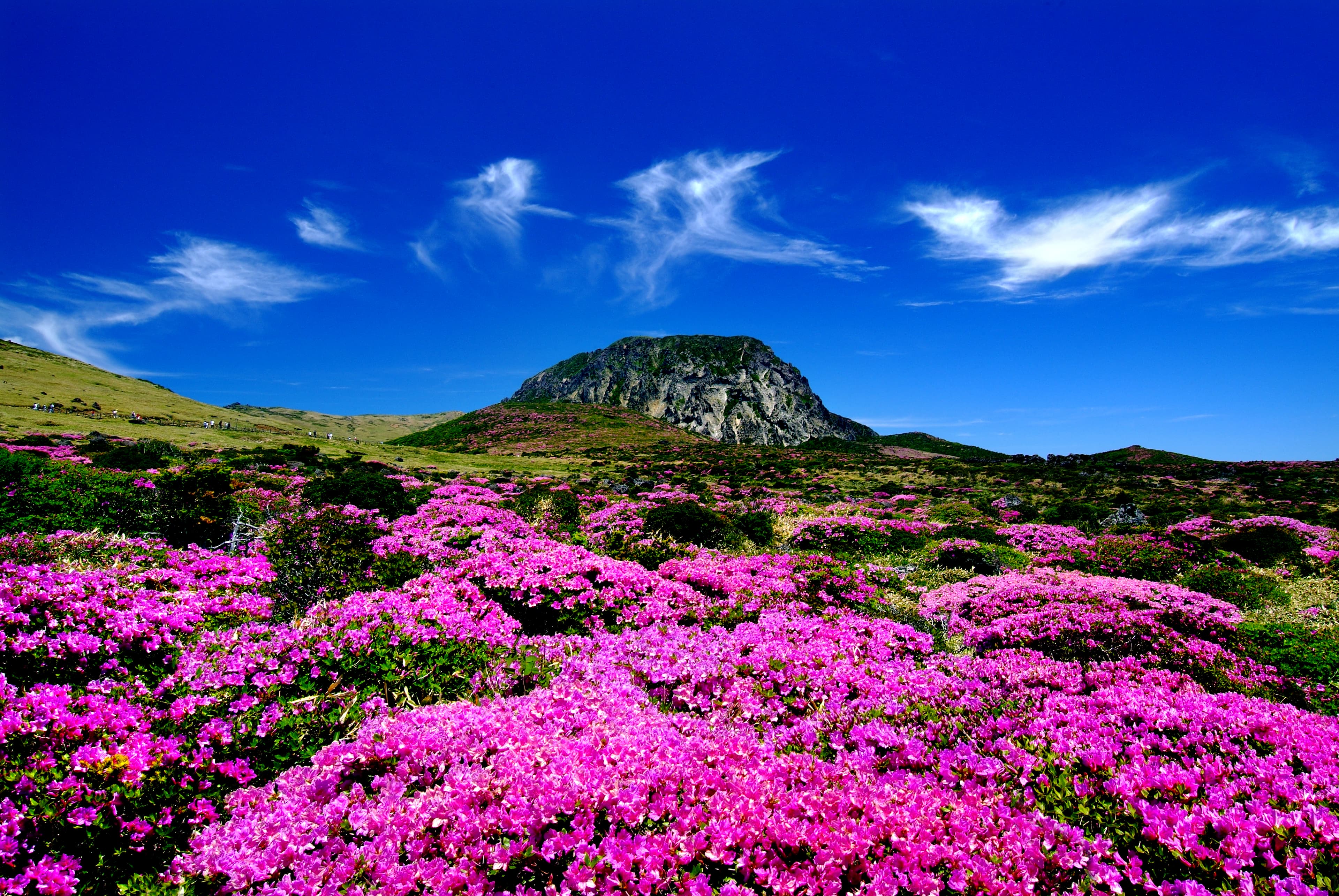Monte Hallasan en Jeju